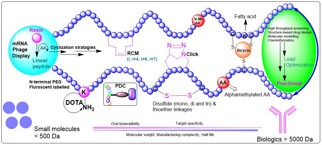 Journal of Peptides - Cyclic Peptides