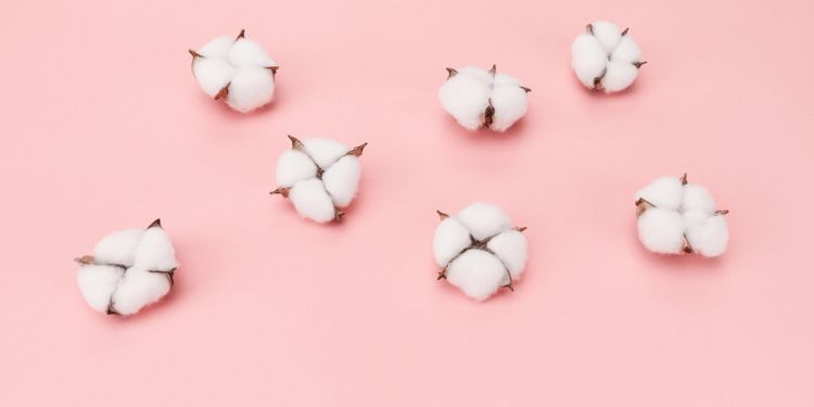 Journal of Farming - Bt cotton