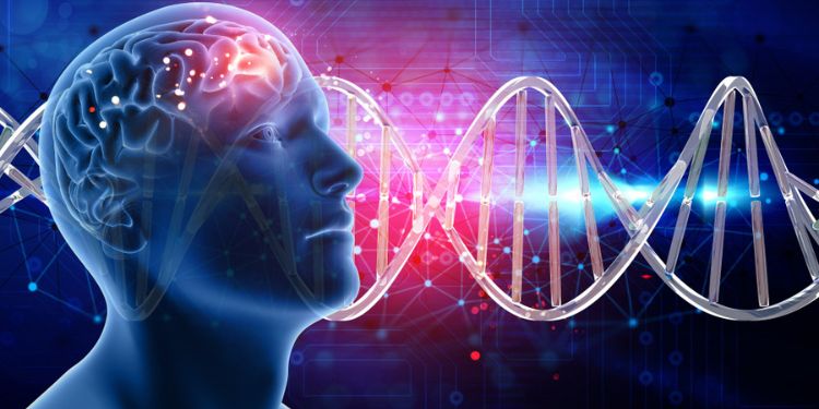 Article: Investigating the Effect of Dopamine on in Vitro Maturation, Fertilization and Development of Immature Bovine Oocytes