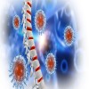 Journal of Aging Research and Healthcare - Bone Mineral Density